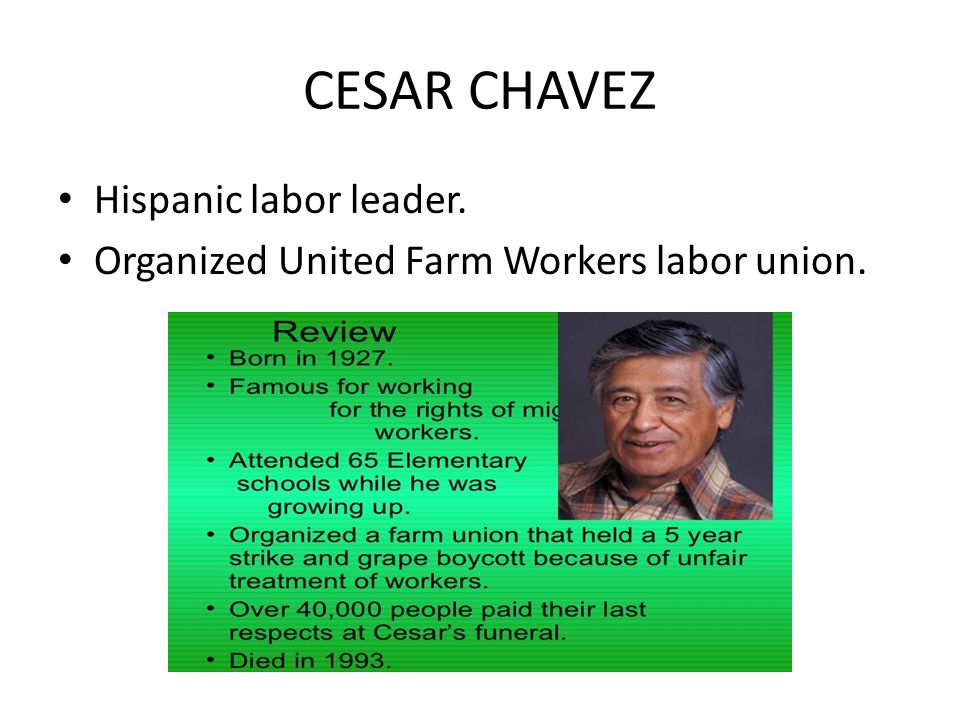 CESAR CHAVEZ Hispanic labor leader. Organized United Farm Workers labor union.