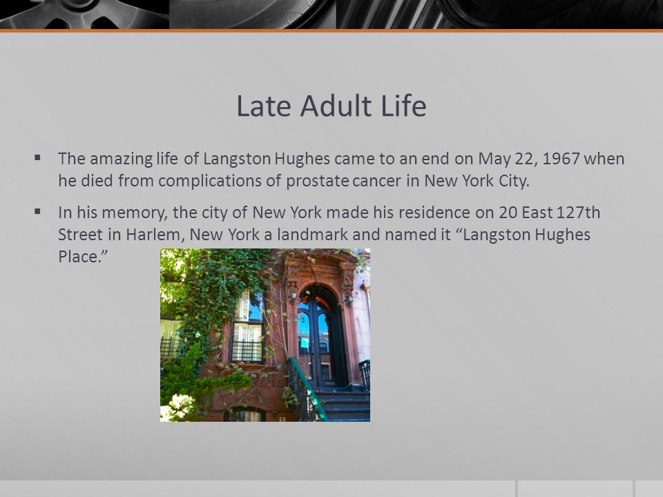 Late Adult Life  The amazing life of Langston Hughes came to an end on May 22, 1967 when he died from complications of prostate cancer in New York City.