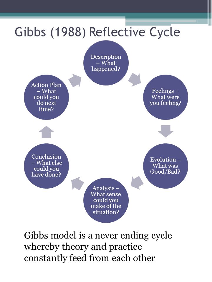 Reflective essay using johns model