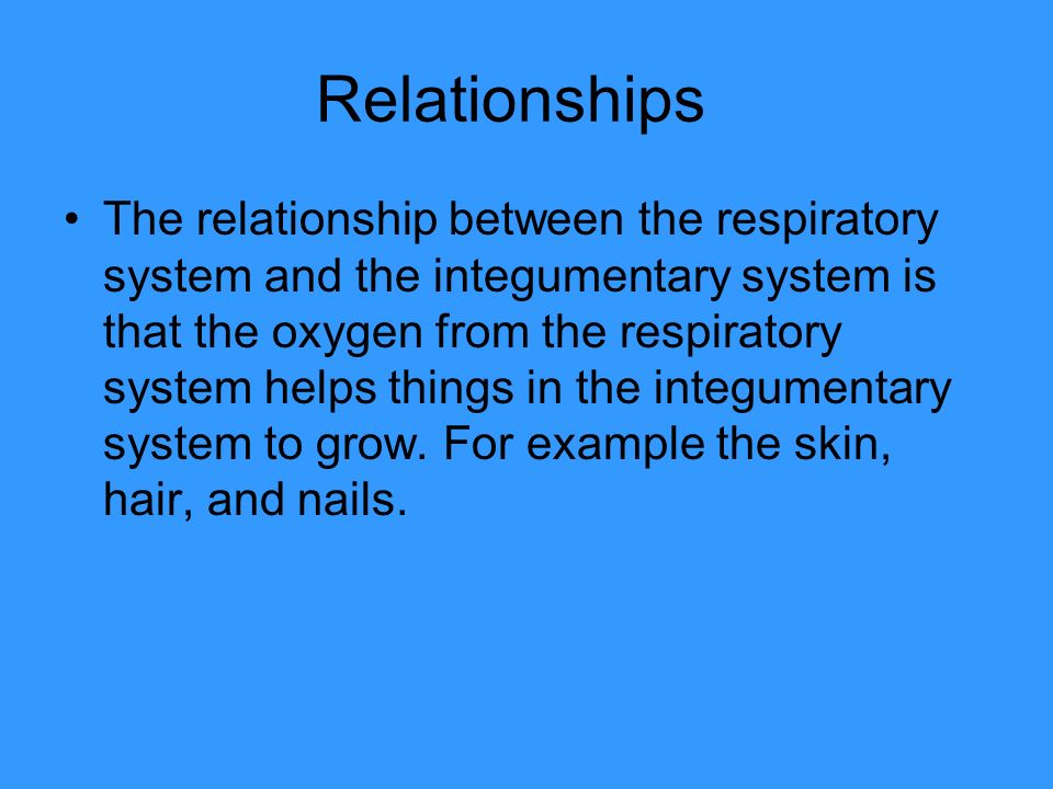 Relationships The relationship between the respiratory system and the integumentary system is that the oxygen from the respiratory system helps things in the integumentary system to grow.