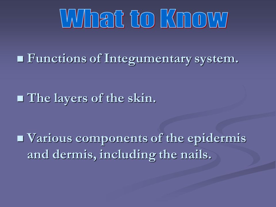 Functions of Integumentary system. Functions of Integumentary system.