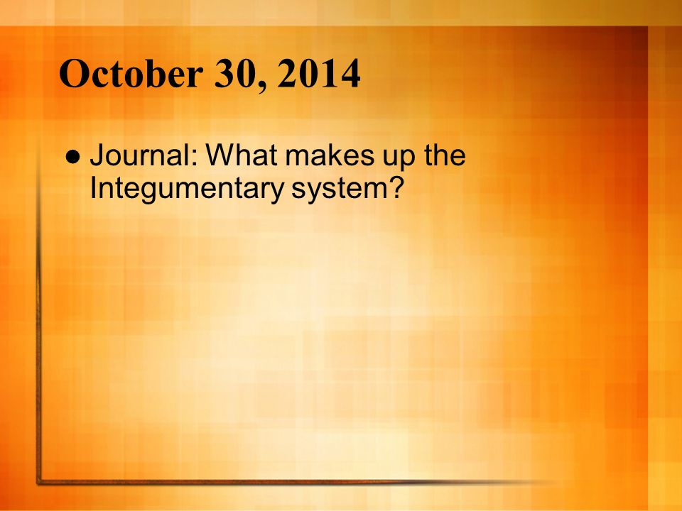 October 30, 2014 Journal: What makes up the Integumentary system