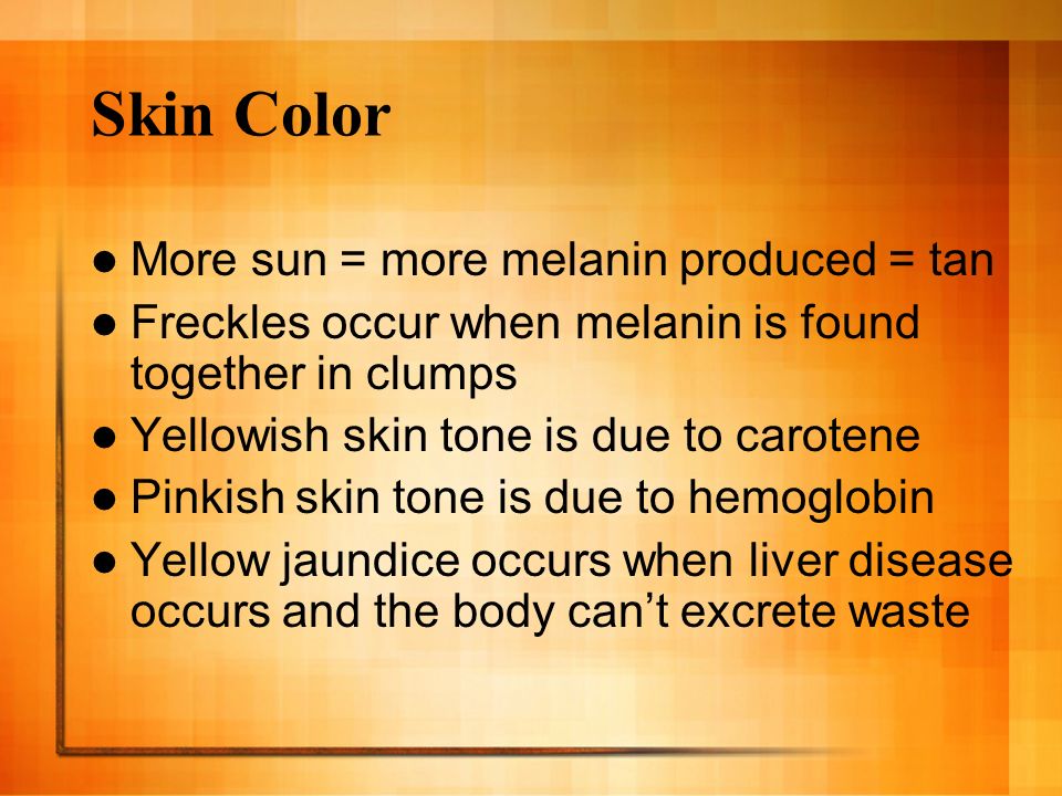 Skin Color More sun = more melanin produced = tan Freckles occur when melanin is found together in clumps Yellowish skin tone is due to carotene Pinkish skin tone is due to hemoglobin Yellow jaundice occurs when liver disease occurs and the body can’t excrete waste