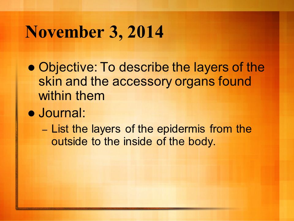 November 3, 2014 Objective: To describe the layers of the skin and the accessory organs found within them Journal: – List the layers of the epidermis from the outside to the inside of the body.