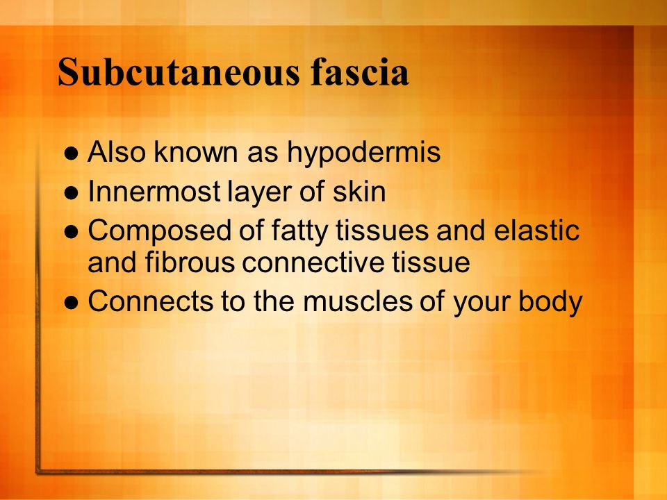Subcutaneous fascia Also known as hypodermis Innermost layer of skin Composed of fatty tissues and elastic and fibrous connective tissue Connects to the muscles of your body