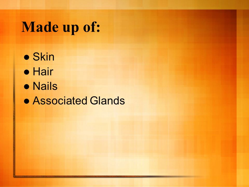 Made up of: Skin Hair Nails Associated Glands