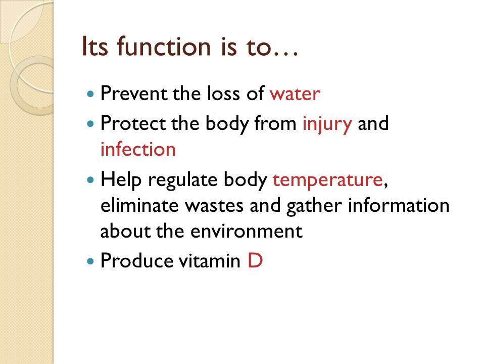 Its function is to… Prevent the loss of water Protect the body from injury and infection Help regulate body temperature, eliminate wastes and gather information about the environment Produce vitamin D