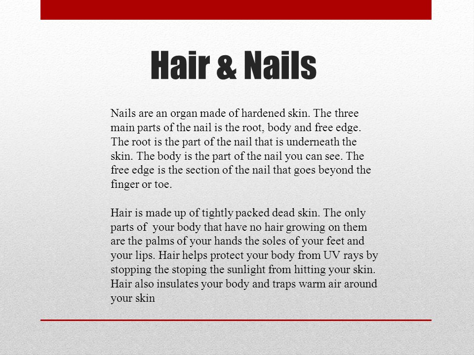 Hair & Nails Nails are an organ made of hardened skin.