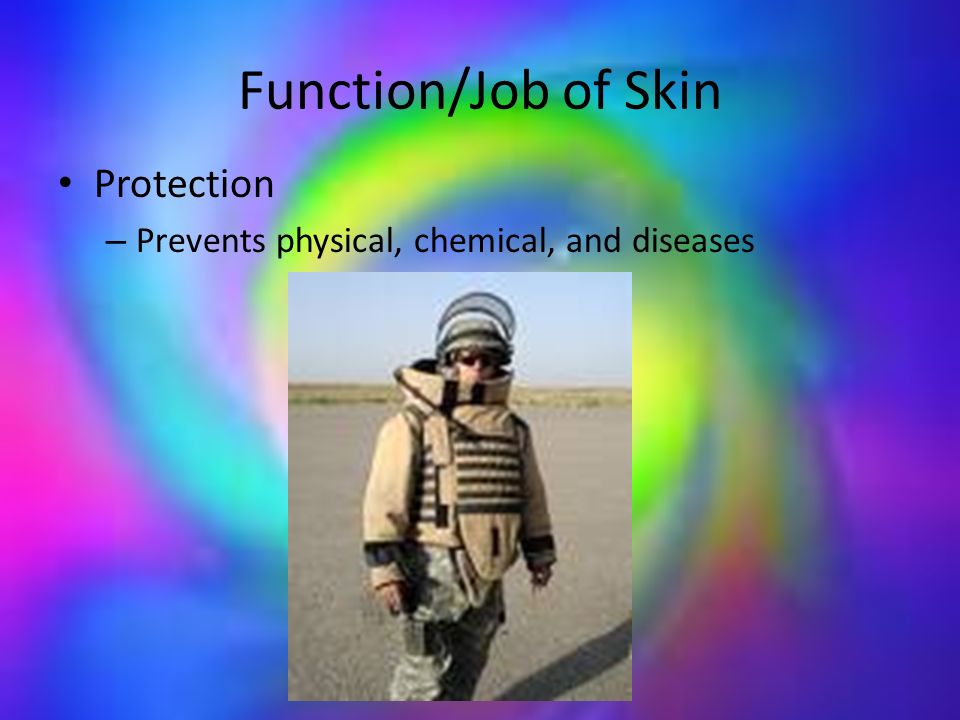 Function/Job of Skin Protection – Prevents physical, chemical, and diseases