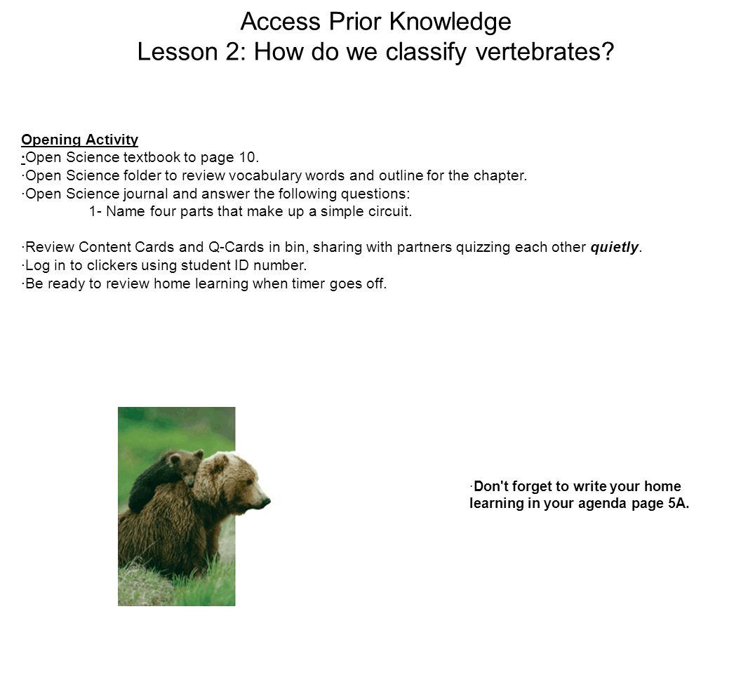 Access Prior Knowledge Lesson 2: How do we classify vertebrates.