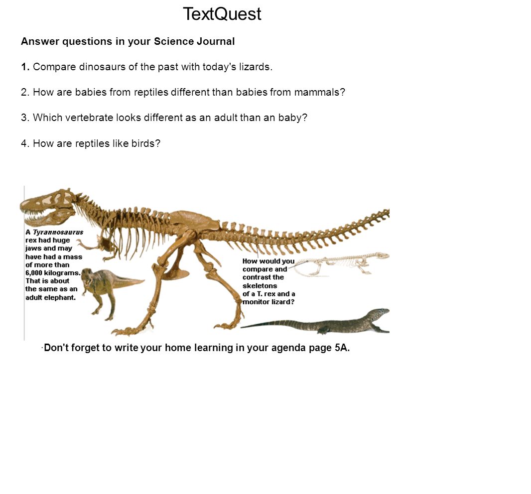 TextQuest Answer questions in your Science Journal 1.