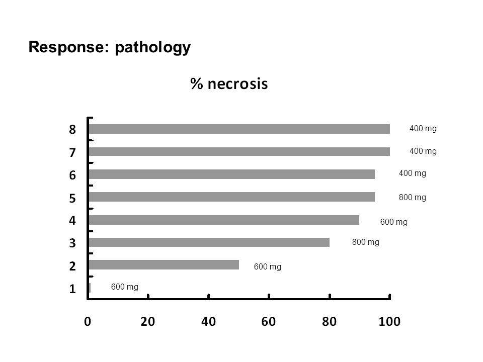 Response: pathology 400 mg 800 mg 600 mg 800 mg 600 mg