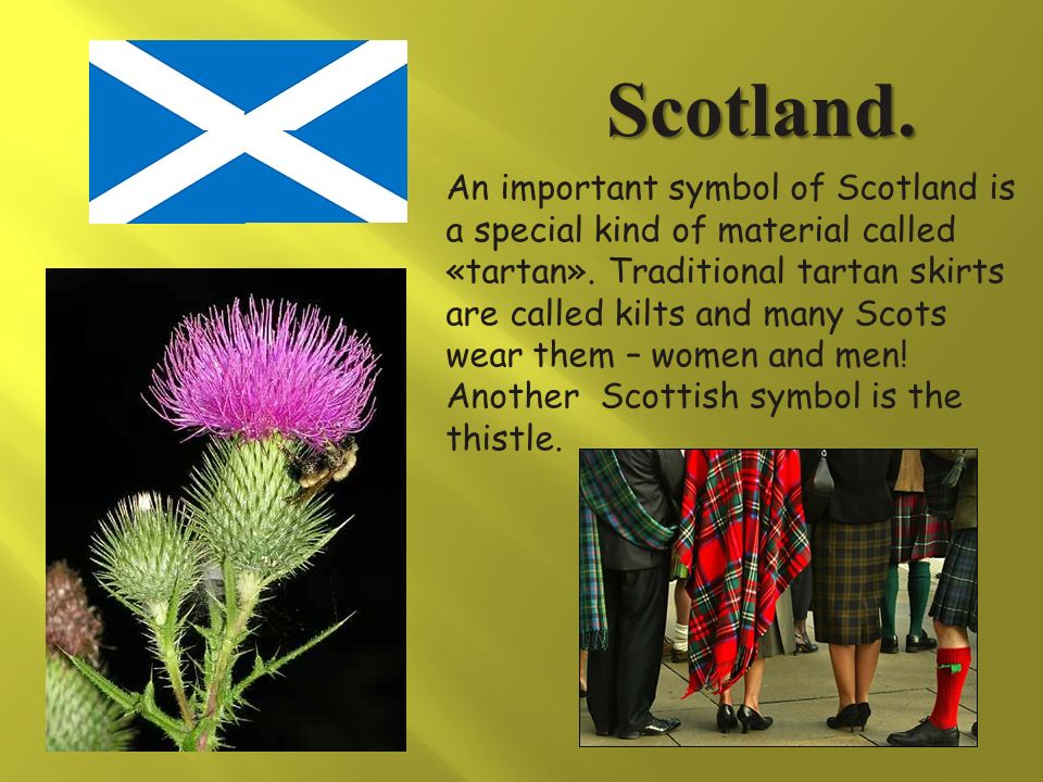 An important symbol of Scotland is a special kind of material called «tartan».