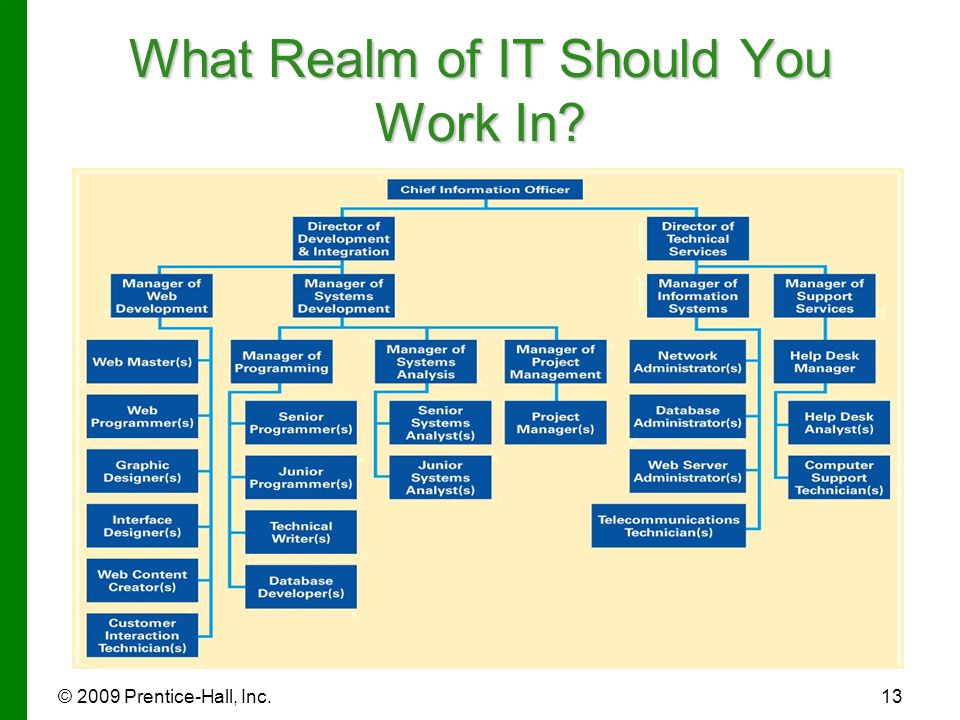 © 2009 Prentice-Hall, Inc.13 What Realm of IT Should You Work In