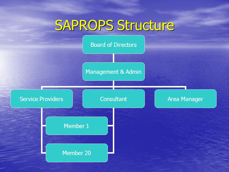 SAPROPS Structure Board of Directors Management & Admin Service Providers Member 1 Member 20 Consultant Member 1 Member 20 Area Manager
