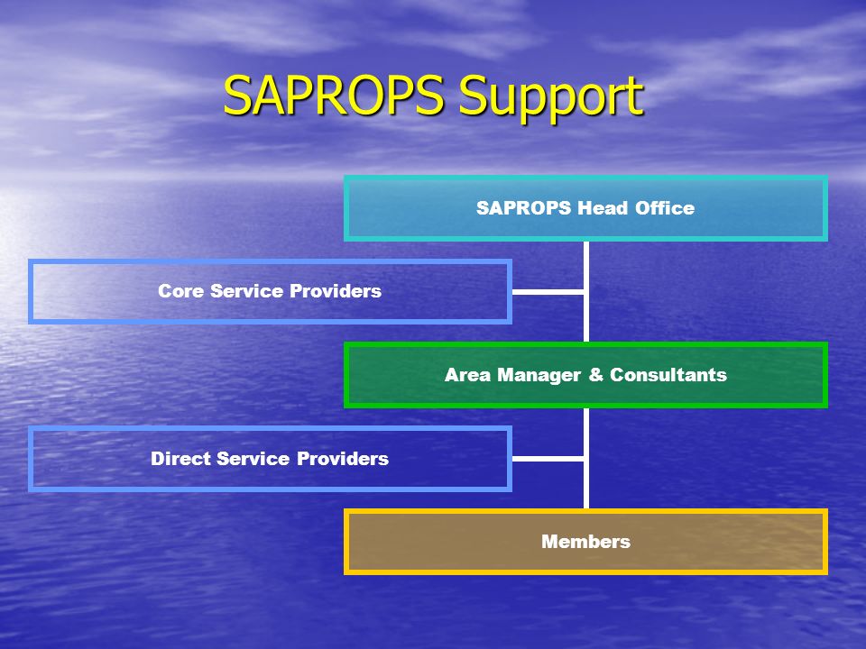 SAPROPS Support SAPROPS Head Office Area Manager & Consultants Members Direct Service Providers Core Service Providers