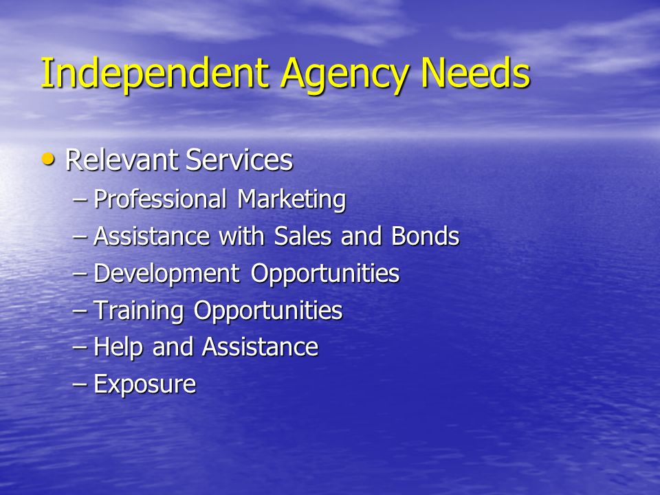 Independent Agency Needs Relevant Services Relevant Services –Professional Marketing –Assistance with Sales and Bonds –Development Opportunities –Training Opportunities –Help and Assistance –Exposure