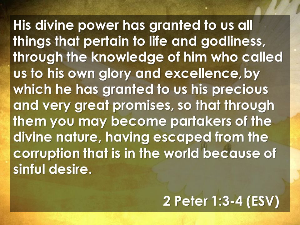 His divine power has granted to us all things that pertain to life and godliness, through the knowledge of him who called us to his own glory and excellence, by which he has granted to us his precious and very great promises, so that through them you may become partakers of the divine nature, having escaped from the corruption that is in the world because of sinful desire.
