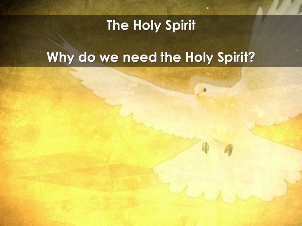 The Holy Spirit Why do we need the Holy Spirit