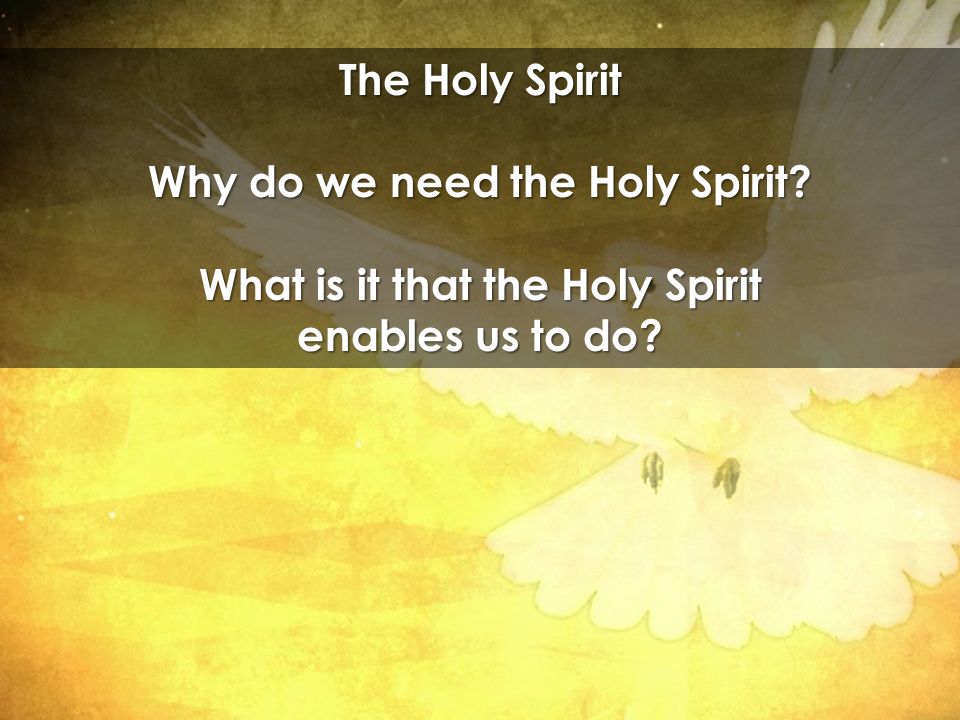The Holy Spirit Why do we need the Holy Spirit What is it that the Holy Spirit enables us to do