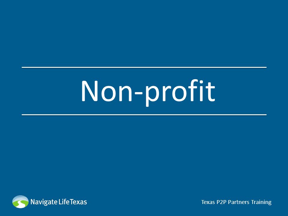 Non-profit Texas P2P Partners Training