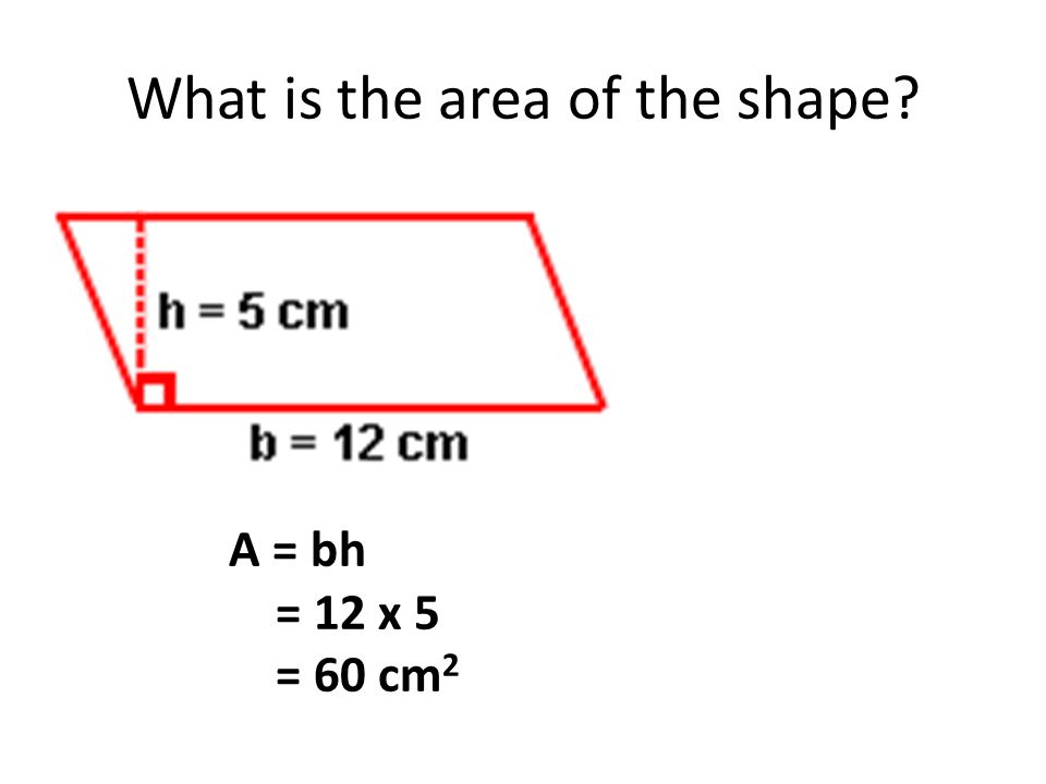 What is the perimeter of the rectangle P = b + b + h + h = = 22 centimeters