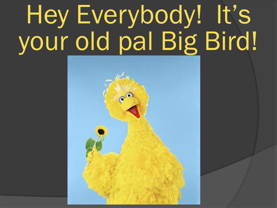 Hey Everybody! It’s your old pal Big Bird!