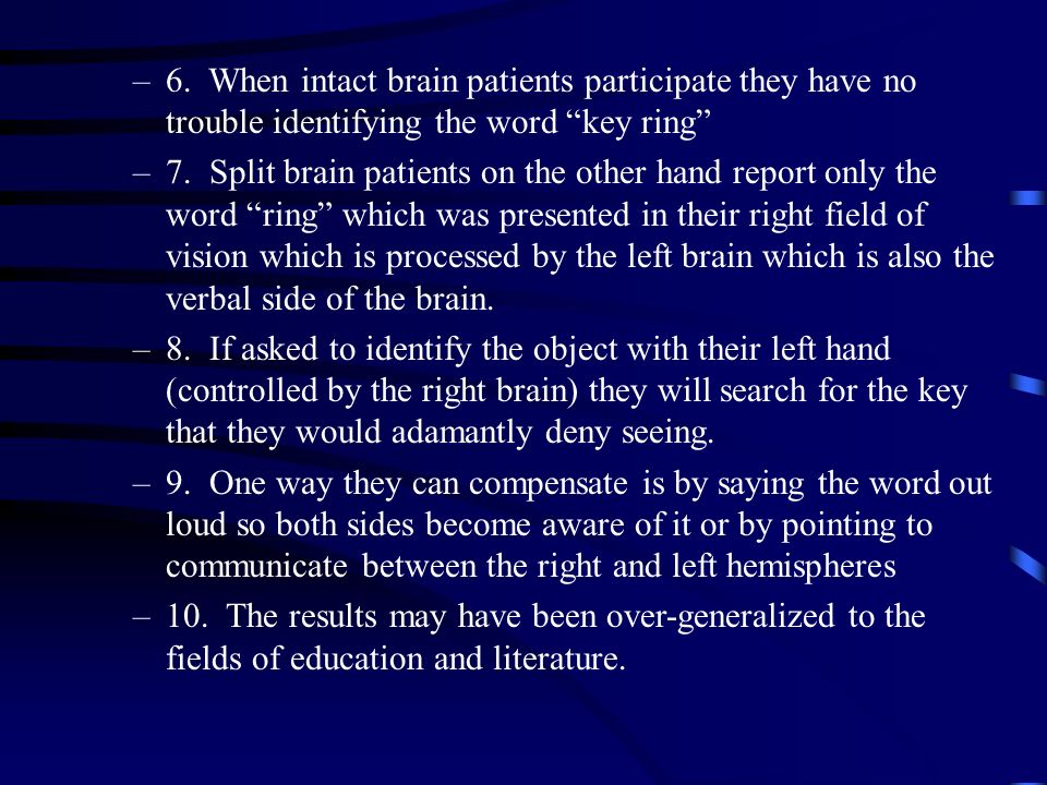 Essay On The Brain