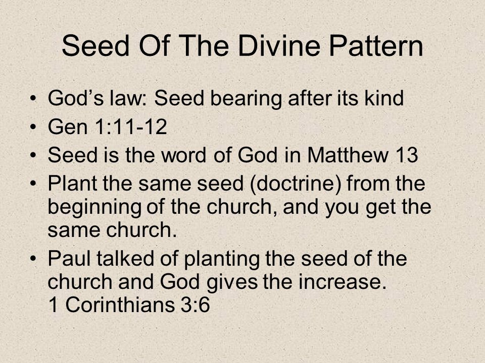 Seed Of The Divine Pattern God’s law: Seed bearing after its kind Gen 1:11-12 Seed is the word of God in Matthew 13 Plant the same seed (doctrine) from the beginning of the church, and you get the same church.