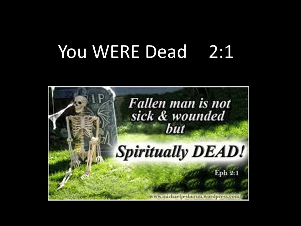 You WERE Dead2:1