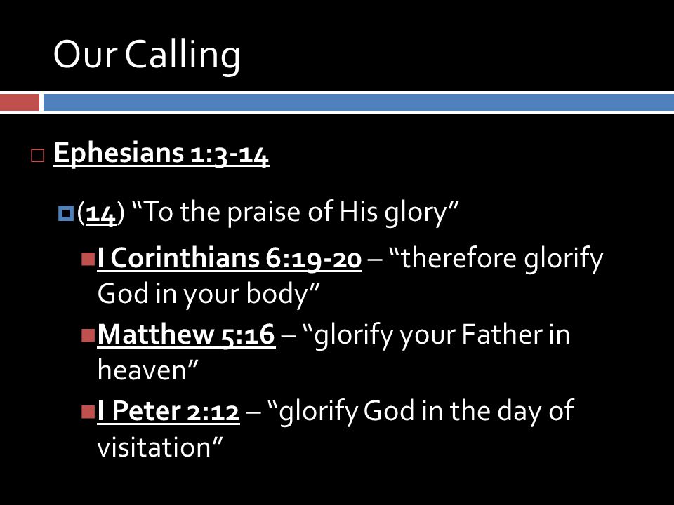 Our Calling  Ephesians 1:3-14  (14) To the praise of His glory I Corinthians 6:19-20 – therefore glorify God in your body Matthew 5:16 – glorify your Father in heaven I Peter 2:12 – glorify God in the day of visitation