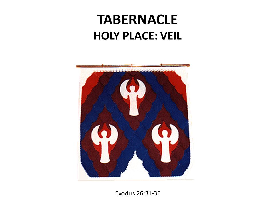 TABERNACLE HOLY PLACE: VEIL Exodus 26:31-35