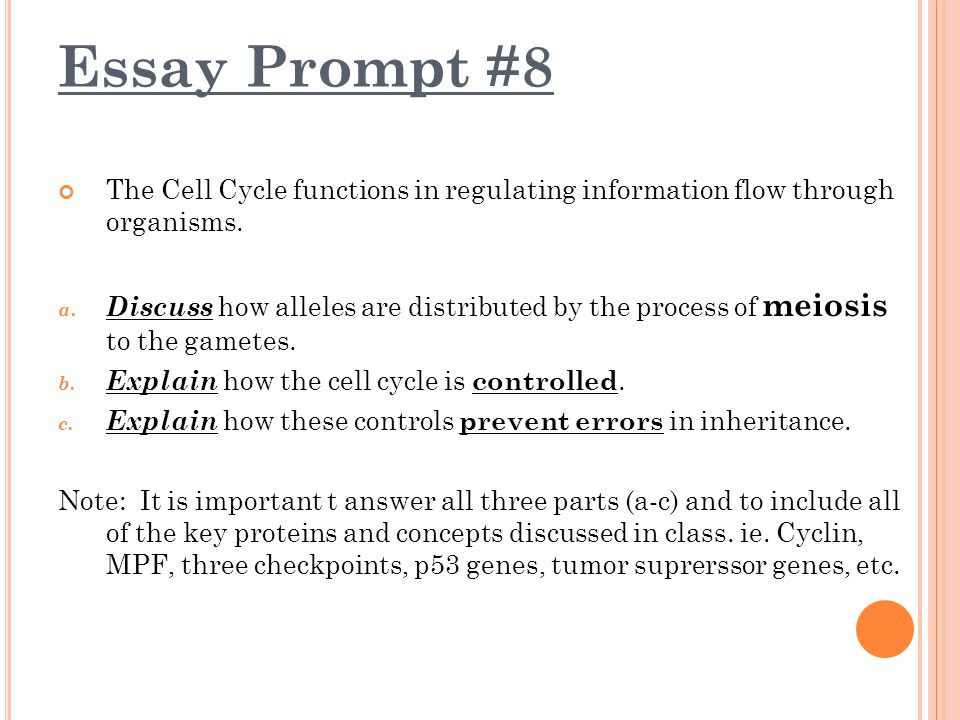 ap biology notes essay ap biology notes essay