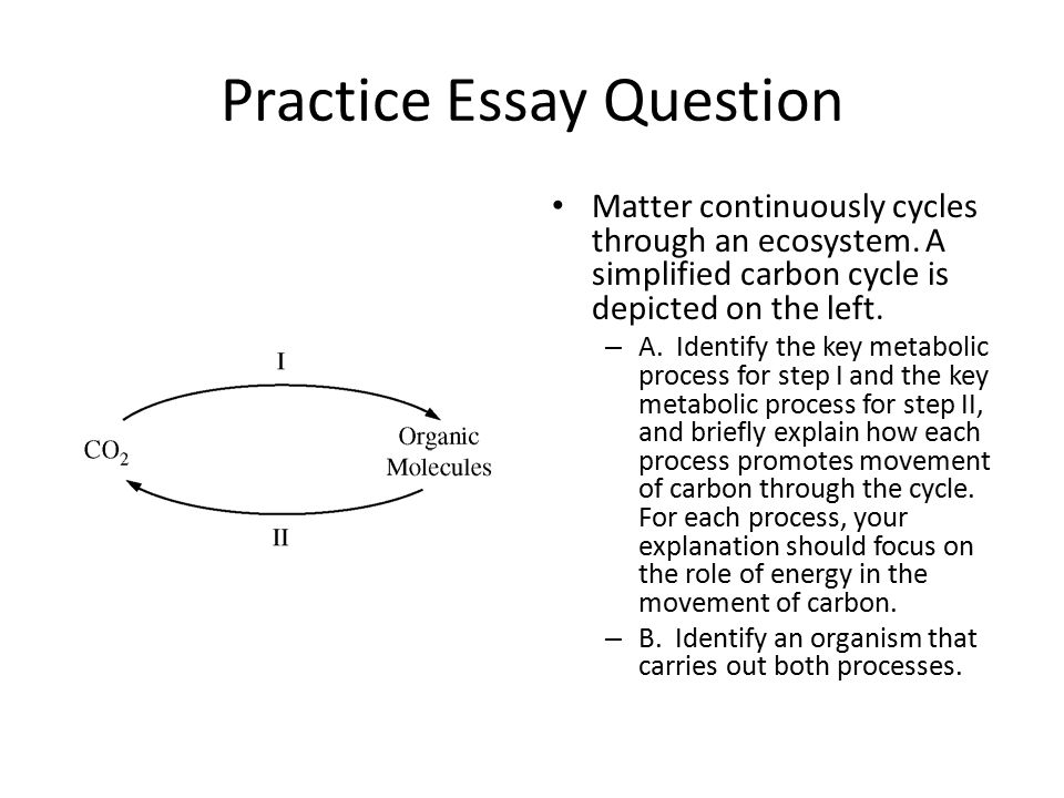 carbon essay nmctoastmasters