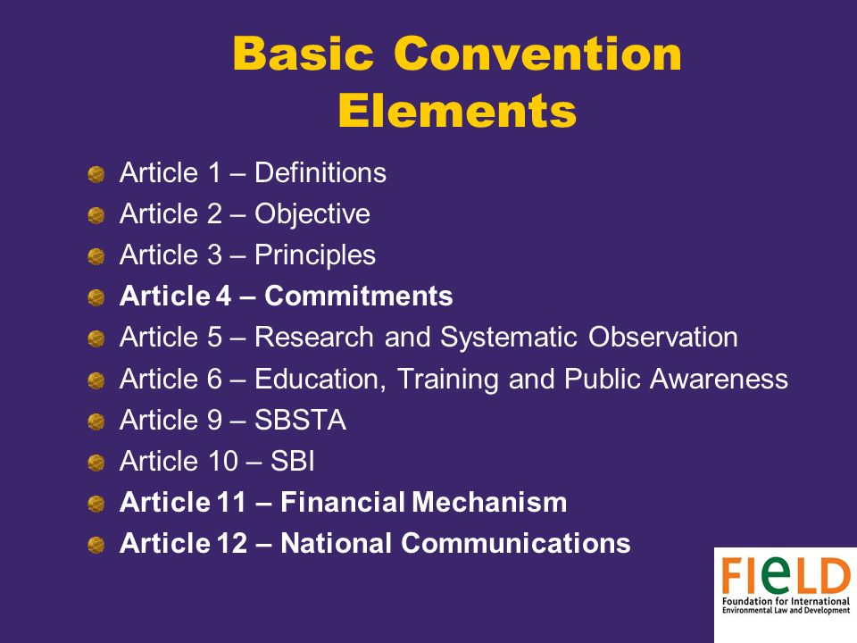 Basic Convention Elements Article 1 – Definitions Article 2 – Objective Article 3 – Principles Article 4 – Commitments Article 5 – Research and Systematic Observation Article 6 – Education, Training and Public Awareness Article 9 – SBSTA Article 10 – SBI Article 11 – Financial Mechanism Article 12 – National Communications