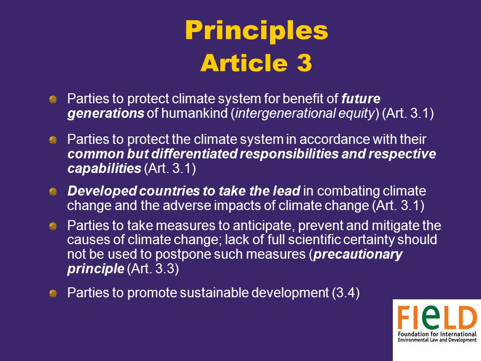 Principles Article 3 Parties to protect climate system for benefit of future generations of humankind (intergenerational equity) (Art.