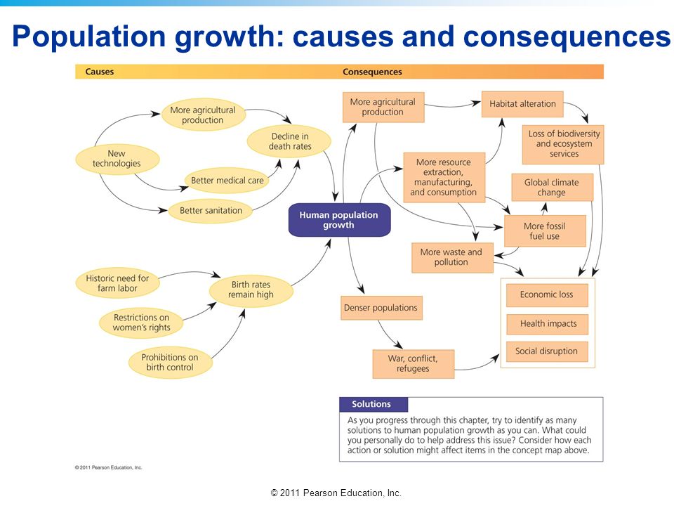 causes and consequences of alcohol prohibition essay causes and consequences of alcohol prohibition essay