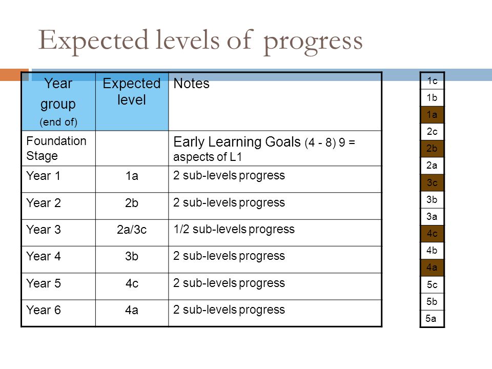 Expected levels of progress Year group (end of) Expected level Notes Foundation Stage Early Learning Goals (4 - 8) 9 = aspects of L1 Year 11a 2 sub-levels progress Year 22b 2 sub-levels progress Year 32a/3c 1/2 sub-levels progress Year 43b 2 sub-levels progress Year 54c 2 sub-levels progress Year 64a 2 sub-levels progress 1c 1b 1a 2c 2b 2a 3c 3b 3a 4c 4b 4a 5c 5b 5a