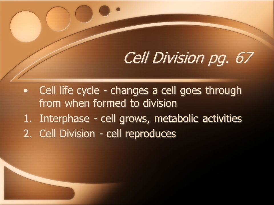 Cell Division pg.
