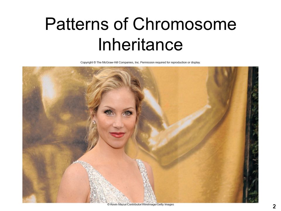 2 Patterns of Chromosome Inheritance