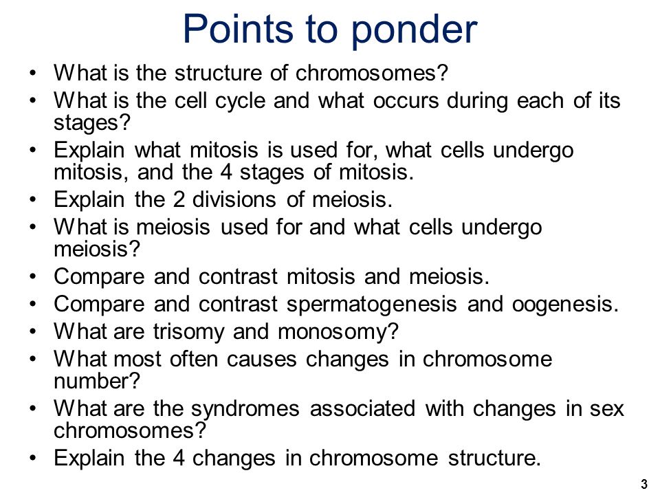 3 Points to ponder What is the structure of chromosomes.
