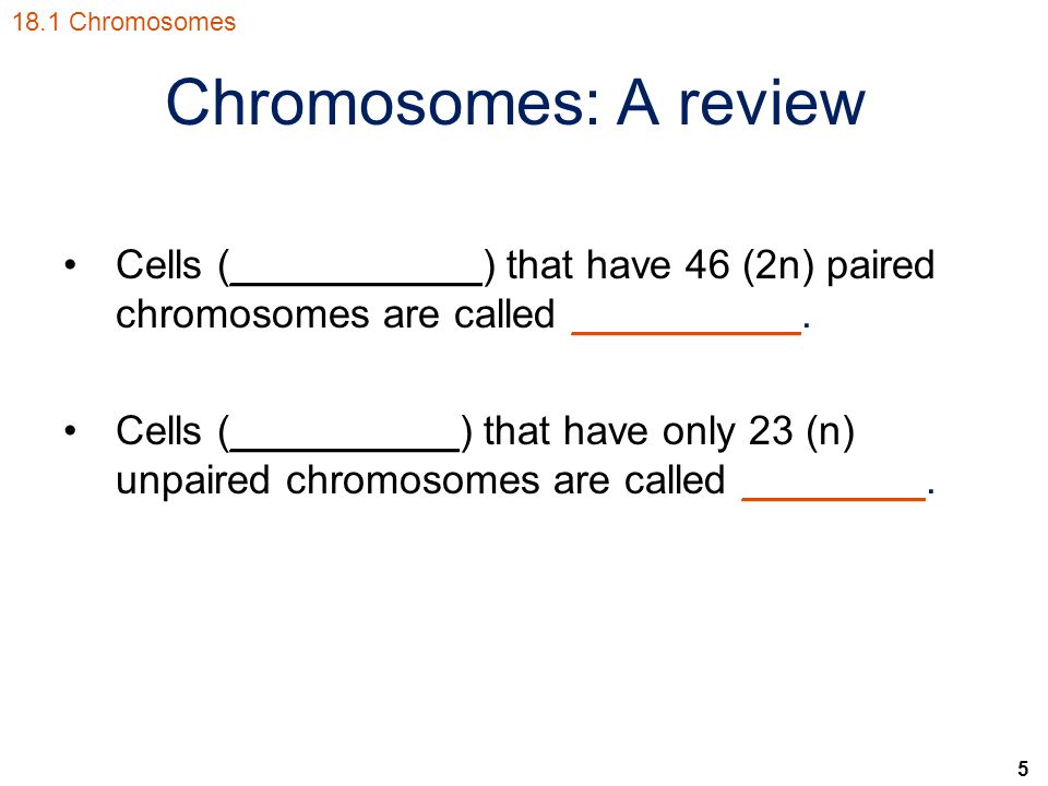 5 Chromosomes: A review Cells (___________) that have 46 (2n) paired chromosomes are called __________.