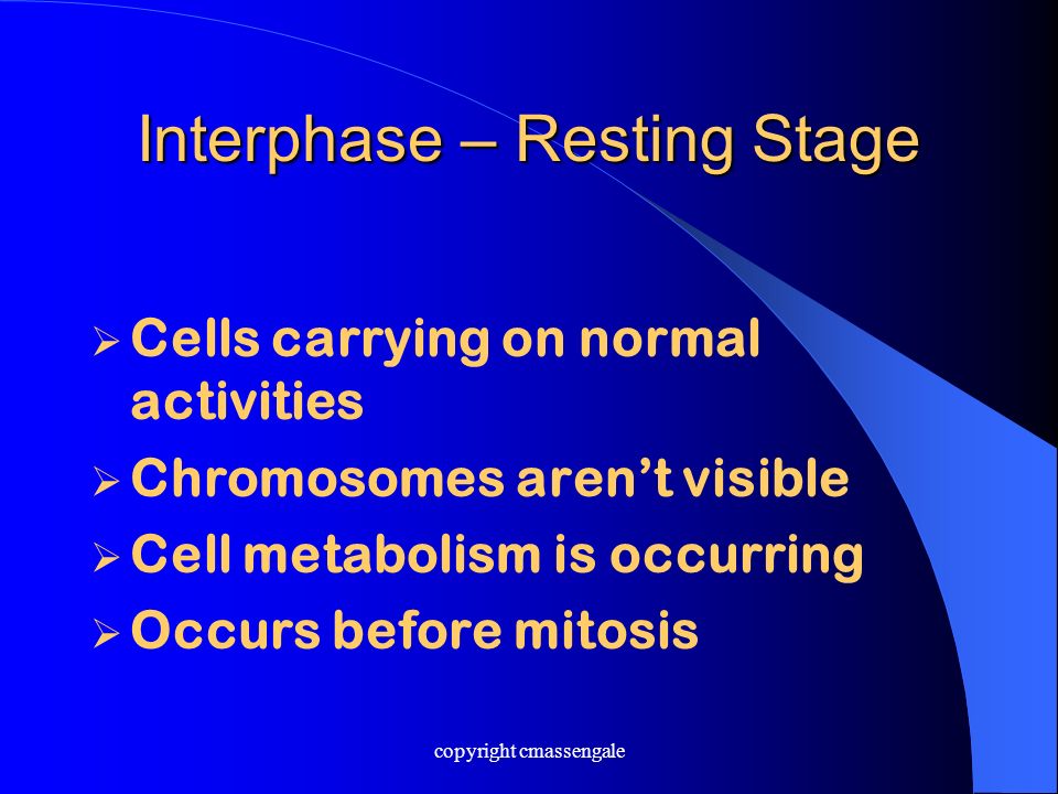 Interphase – Resting Stage  Cells carrying on normal activities  Chromosomes aren’t visible  Cell metabolism is occurring  Occurs before mitosis copyright cmassengale