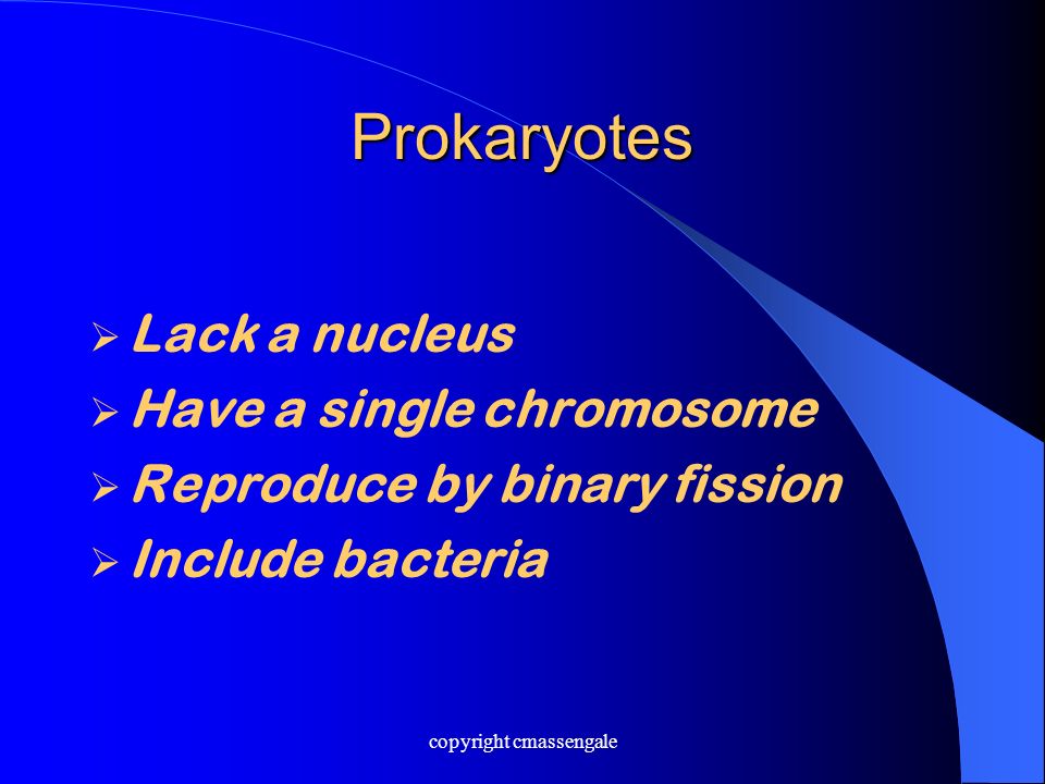Prokaryotes  Lack a nucleus  Have a single chromosome  Reproduce by binary fission  Include bacteria copyright cmassengale