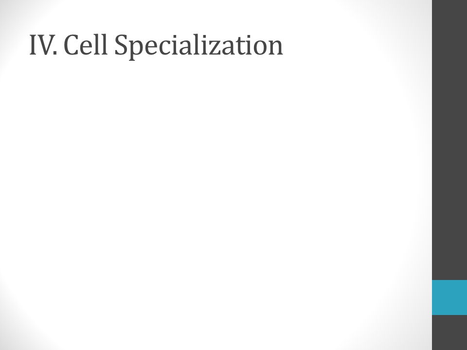 IV. Cell Specialization