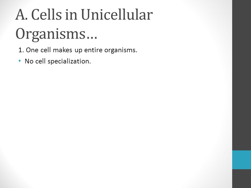 A. Cells in Unicellular Organisms… 1. One cell makes up entire organisms. No cell specialization.