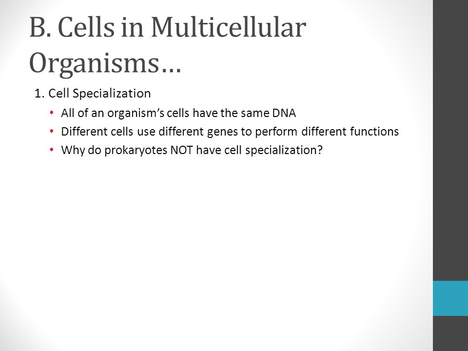 B. Cells in Multicellular Organisms… 1.