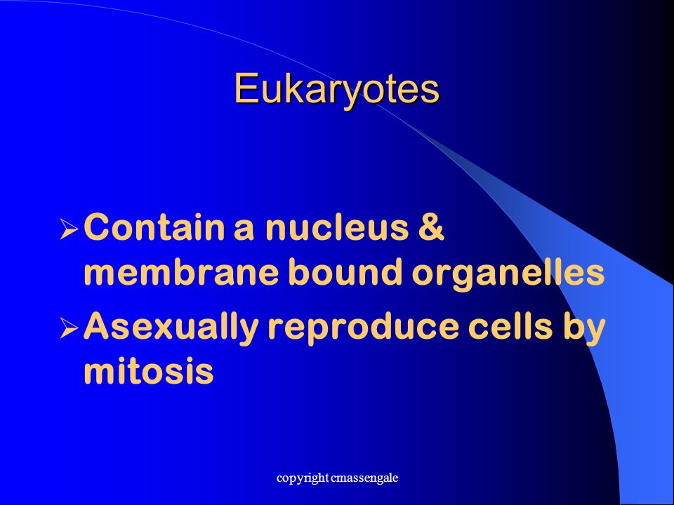 Eukaryotes  Contain a nucleus & membrane bound organelles  Asexually reproduce cells by mitosis copyright cmassengale