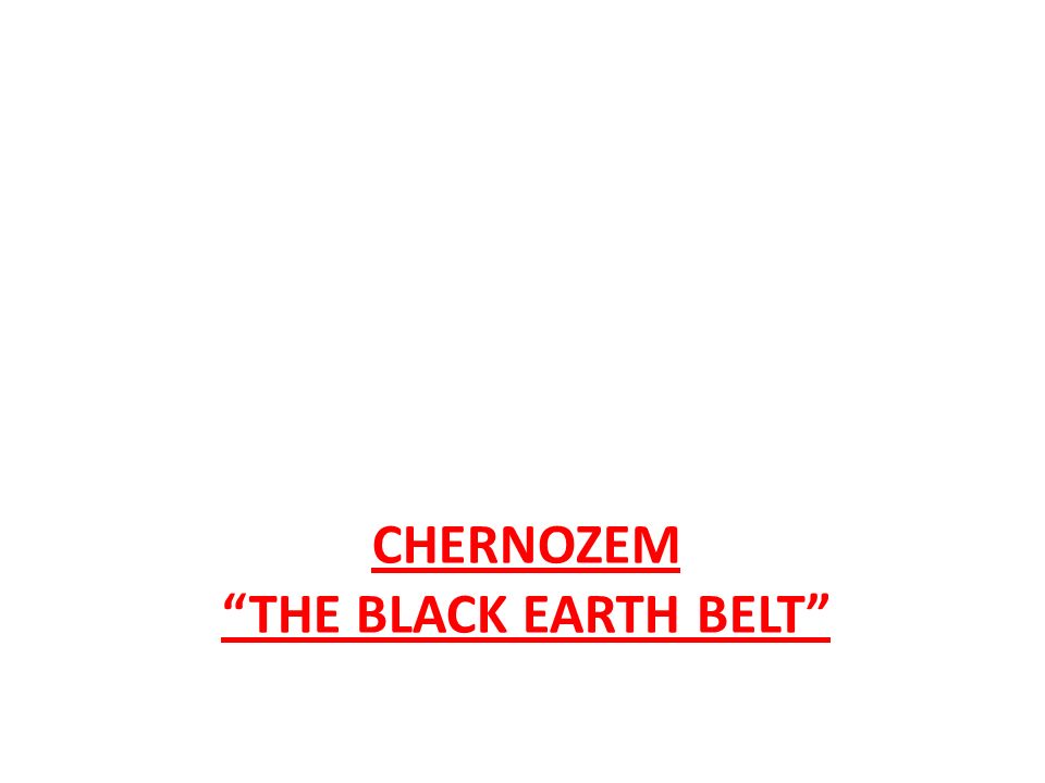 CHERNOZEM THE BLACK EARTH BELT
