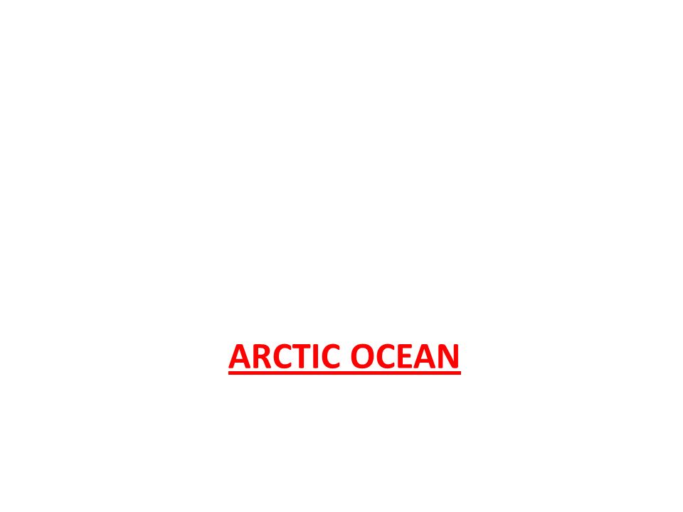 ARCTIC OCEAN